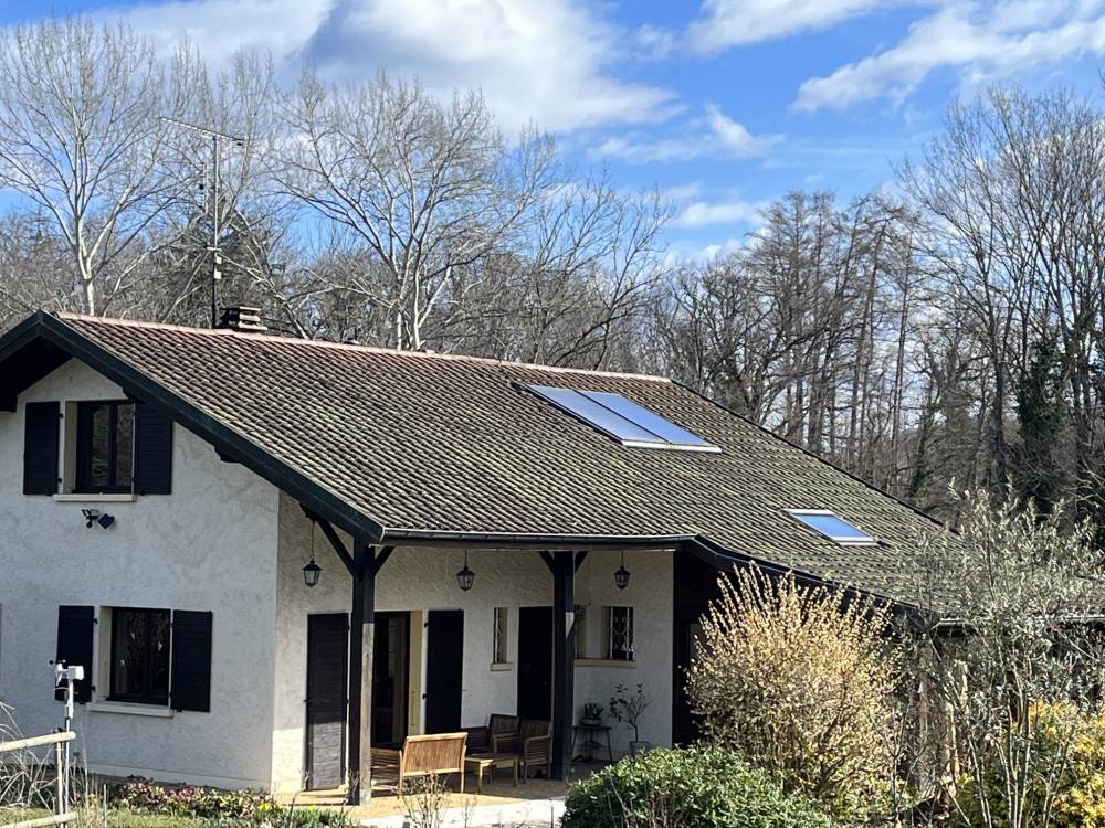 maison dans une forêt